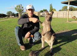 Где увидеть кенгуру в Австралии? Где посмотреть кенгуру в Мельбурне?
