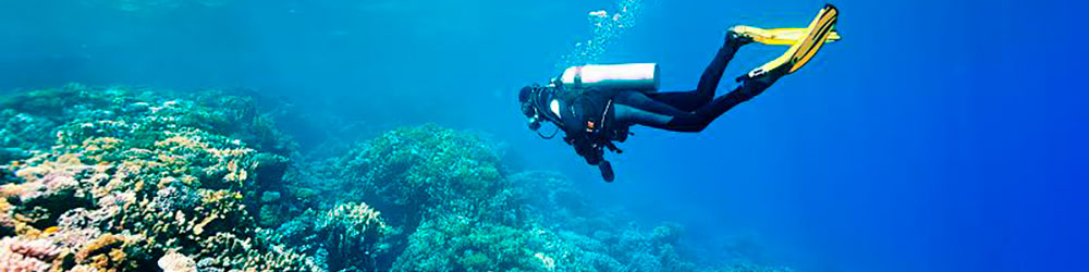 Дайв-Круиз сафари на ББР из Кэрнса на шикарном катамаране OceanQuest 2