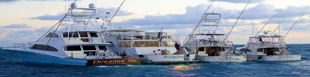 Индивидуальный чартер яхты и лодки для круиза на Большой Барьерный Риф