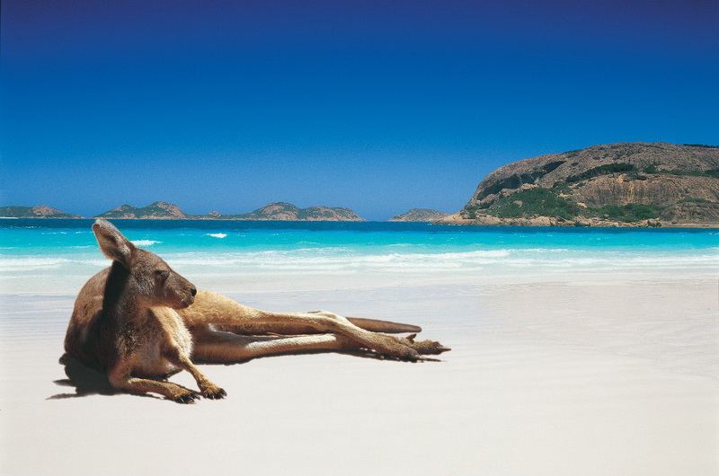 пляжный отдых в Австралии