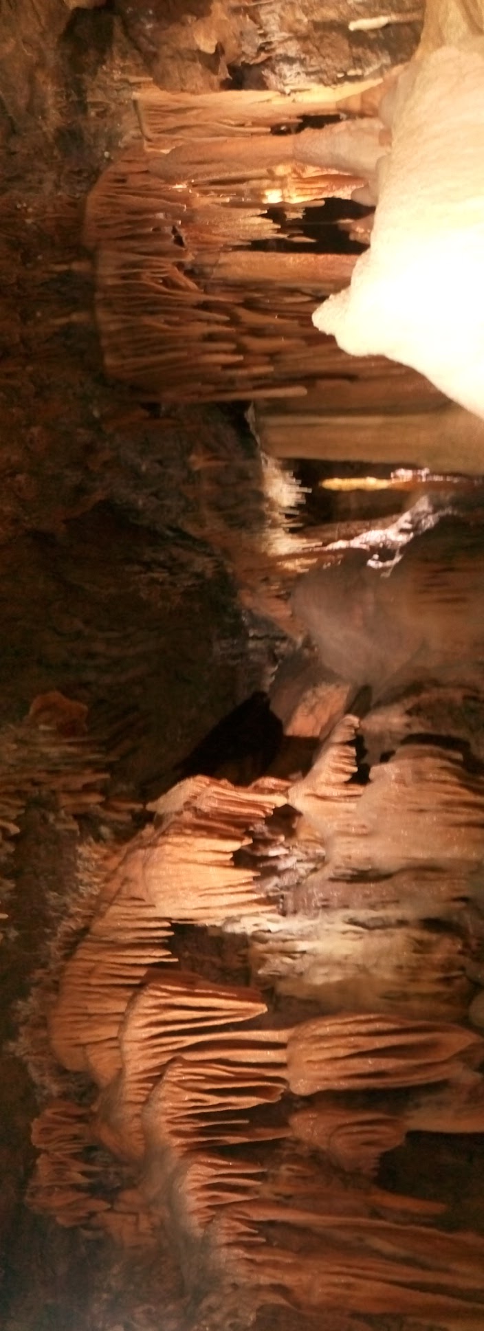 пещеры Дженолан в голубых горах под Сиднеем