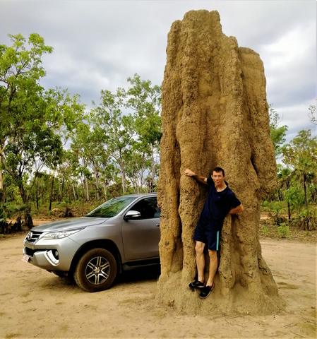 термитник высотой 5 метров в нац парке Какаду